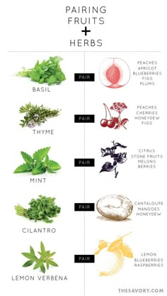 the different types of herbs are shown in this diagram