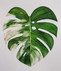 a painting of a large green leaf