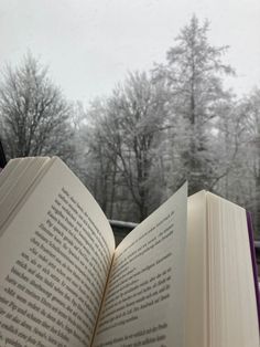 a book infront of a snowy forest. Instant Tan, The Script, Video Editor, Serum, Internet