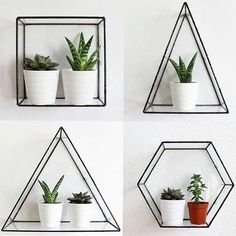 four shelves with plants on them in different shapes and sizes