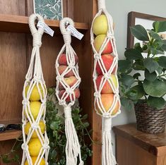 two hanging fruit baskets with apples and pears in them next to a potted plant