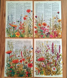 four pictures of wildflowers on top of an old book page, with the pages turned upside down