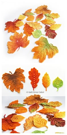 several different types of leaves are shown in the same color and size, each with their own leaf pattern