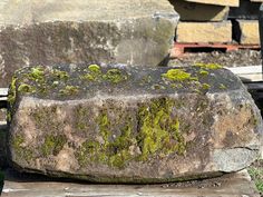 a large rock covered in green moss sitting on top of a wooden bench next to a pile of rocks