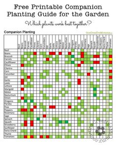 a chart with many different types of plants