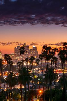 the city skyline is lit up at night with palm trees