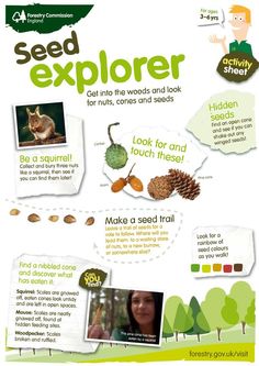 the seed explorer poster is shown with information about its seeds and how to use it