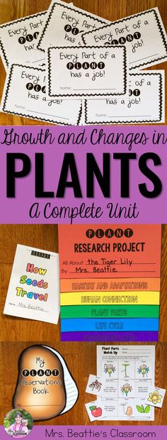 the plant project is an engaging activity to teach students about plants and how they can use it