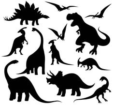 silhouettes of dinosaurs and birds