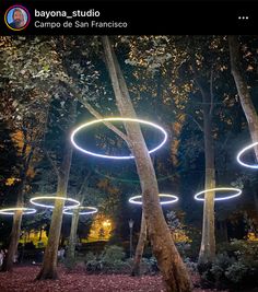 an image of some lights in the trees