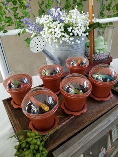 there are many small pots with plants in them on the table next to each other