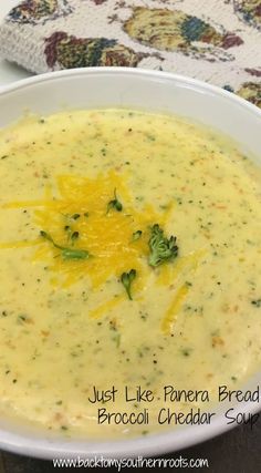 a white bowl filled with broccoli and cheese soup next to a stuffed animal