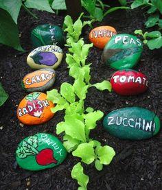 some rocks with words painted on them in the dirt and plants growing out of them