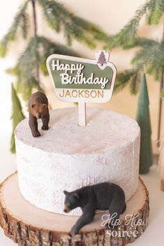 a birthday cake with a bear on top and a sign that says happy birthday jackson