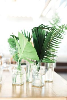 three clear vases with green plants in them on a wooden table next to glasses