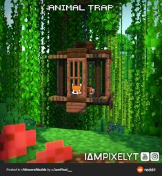 an animal trap in the middle of a forest