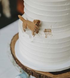 a white wedding cake with a dog on top and the words adorable wedding cake above it