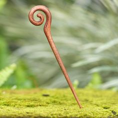 a wooden stick with a spiral design on it's end sitting in the grass