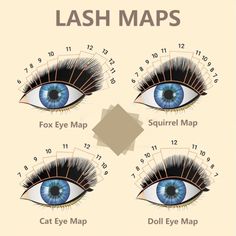 Instagram @mysticalashofficial

Enhance your lash artistry by mastering lash mapping techniques. Achieve balanced volume and length with every set of extensions! 

✨ #LashMapping #LashTechniques #LashExtensions#eyelashes #lashes #eyelashextensions #volumelashes #lashtips #lashlove #lashmapping #lashartist #lashview #lashviewlashes #lashviewbeauty #lashextensions #explorepage #mylashtools #crossedgecorporation