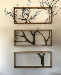 three wooden frames with branches in them hanging on the wall next to each other,