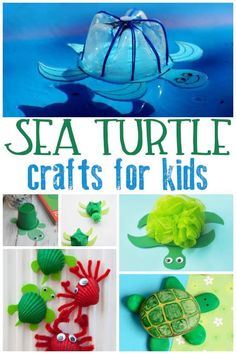 sea turtle crafts for kids to make