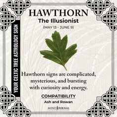 a card with a leaf on it and the words,'hawthorn the illusionist