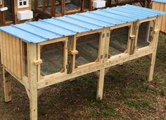 a wooden chicken coop with blue roof and windows on the top, surrounded by chickens