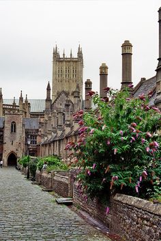 a cobblestone street in an old town with tall buildings and flowers growing on the sidewalk