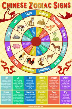 the chinese zodiac signs with different animals