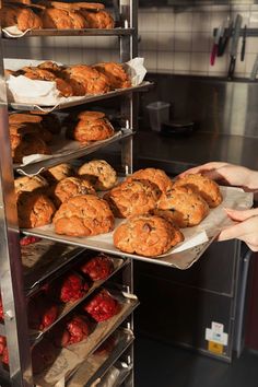 a person holding a tray of cookies and muffins