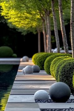 a row of trees and bushes next to a pool