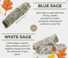 Smudging Prayer, Usui Reiki, Burning Sage, Sage Smudging, Magic Herbs, Blue Sage, Spiritual Cleansing, Herbal Magic, Healing Herbs