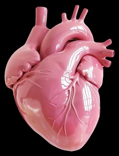 an image of a human heart that is pink and shiny with white lines on it