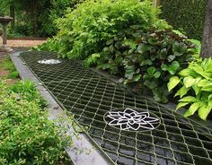 a metal grate sitting in the middle of a garden