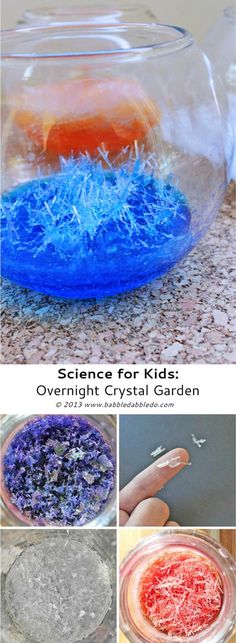 science for kids overnight crystal garden in a glass bowl with blue and orange liquid inside