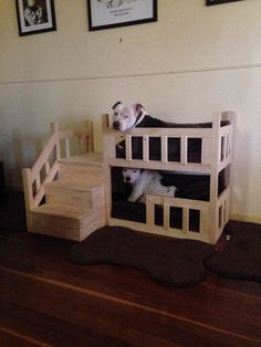 a dog laying on top of a wooden bunk bed with stairs leading up to it