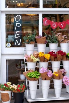 a bunch of flowers that are sitting on a stand in front of a store window