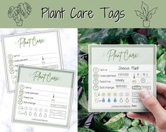 the plant care tags are being held up in front of some green plants and leaves