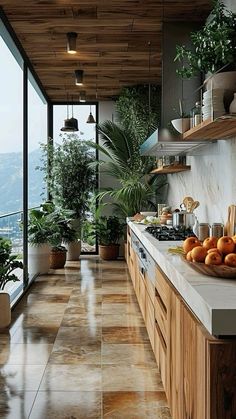 a kitchen filled with lots of counter top space next to a large window covered in potted plants