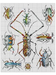 a cross stitch pattern with bugs and insects on it