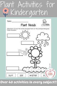 a plant worksheet with the words plant activities for kids