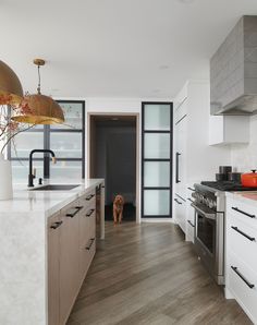 a dog is standing in the middle of a kitchen with white cabinets and wood flooring