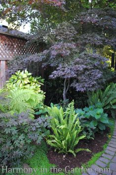 the garden is full of plants and trees