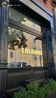 the front window of a coffee shop with plants growing in it's planters