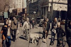 a group of people walking down a street next to tall buildings with dogs on leashes