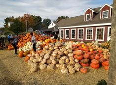 a large pile of pumpkins and squash in front of a red building with people standing around it