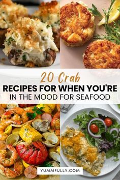 the top 20 crab recipes for when you're in the mood for seafood