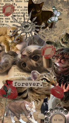 a collage of cats and flowers with the words forever