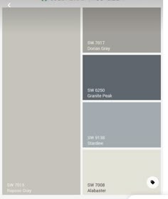 some gray and white paint colors with the same color scheme for each room in this house