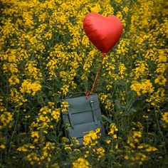 a red heart shaped balloon is attached to an old book in a field of yellow flowers